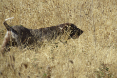 20251004_Ausejo_26480128_Unknown_JMM_67