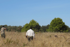 20251004_Ausejo_26480448_Unknown_JMM_72