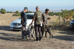 20251004_Ausejo_DSCN0031_JMS_1