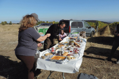 20251004_Ausejo_DSCN0036_JMS_6