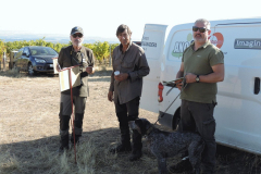 20251004_Ausejo_DSCN0041_JMS_11