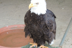 20251004_Ausejo_DSCN0066_JMS_32