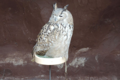 20251004_Ausejo_DSCN0067_JMS_33