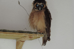 20251004_Ausejo_DSCN0069_JMS_35