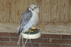 20251004_Ausejo_DSCN0072_JMS_38