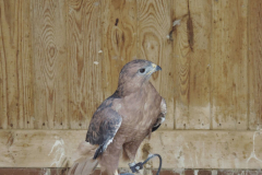 20251004_Ausejo_DSCN0073_JMS_39