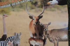 20251004_Ausejo_DSCN0108_JMS_70