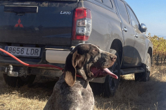 20251004_Ausejo_IMG_5312_JMM_79