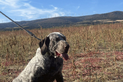 20251004_Ausejo_IMG_5329_JMM_82