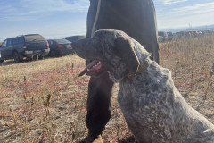 20251004_Ausejo_IMG_5343_JMM_83