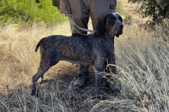 20251004_Ausejo_IMG_5358_JMM_87