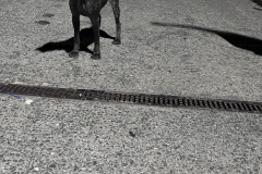 20251004_Ausejo_IMG_6616_ACG_4