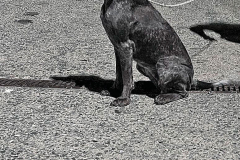 20251004_Ausejo_IMG_6619_ACG_7_1