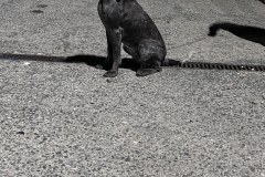 20251004_Ausejo_IMG_6620_ACG_8