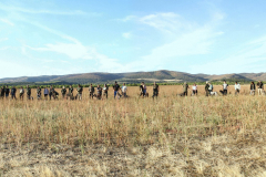 Grupo-general_1