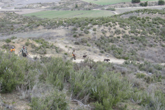 20260214_Perdiguera_Patri_004