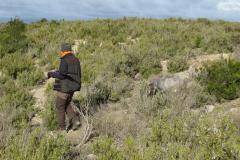 20260214_Perdiguera_Patri_005