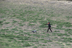 20260214_Perdiguera_Patri_007