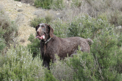 20260214_Perdiguera_Patri_009