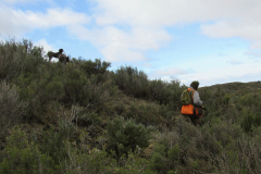 20260214_Perdiguera_Patri_010