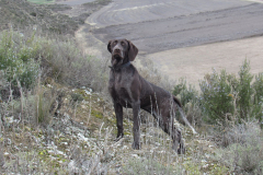 20260214_Perdiguera_Patri_012