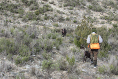 20260214_Perdiguera_Patri_013