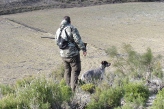 20260214_Perdiguera_Patri_014