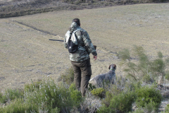 20260214_Perdiguera_Patri_015