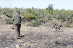 20260214_Perdiguera_Patri_016