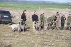 20260307_Pina-de-Ebro_ACG_002