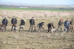 20260307_Pina-de-Ebro_ACG_007