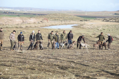 20260307_Pina-de-Ebro_ACG_010