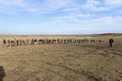 20260307_Pina-de-Ebro_ACG_012