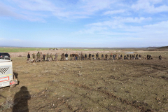 20260307_Pina-de-Ebro_ACG_013