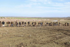 20260307_Pina-de-Ebro_ACG_015