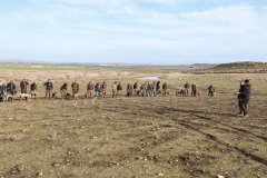 20260307_Pina-de-Ebro_ACG_016