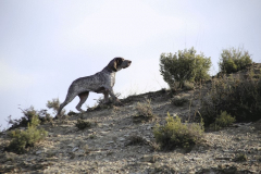 20260307_Pina-de-Ebro_ACG_023