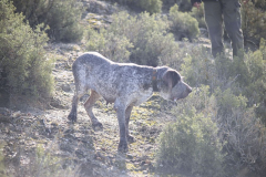 20260307_Pina-de-Ebro_ACG_031