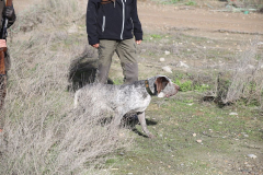 20260307_Pina-de-Ebro_ACG_034