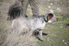 20260307_Pina-de-Ebro_ACG_035