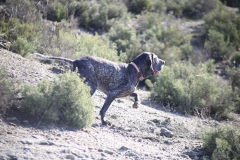 20260307_Pina-de-Ebro_ACG_040
