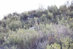 20260307_Pina-de-Ebro_ACG_049