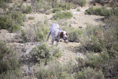 20260307_Pina-de-Ebro_ACG_058