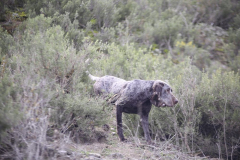 20260307_Pina-de-Ebro_ACG_065