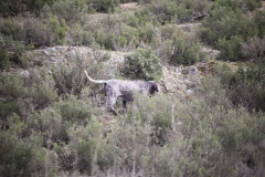 20260307_Pina-de-Ebro_ACG_068