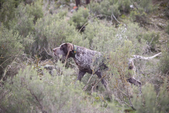 20260307_Pina-de-Ebro_ACG_072