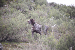 20260307_Pina-de-Ebro_ACG_074