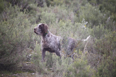 20260307_Pina-de-Ebro_ACG_075