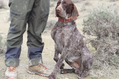 20260307_Pina-de-Ebro_ACG_083