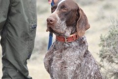 20260307_Pina-de-Ebro_ACG_084